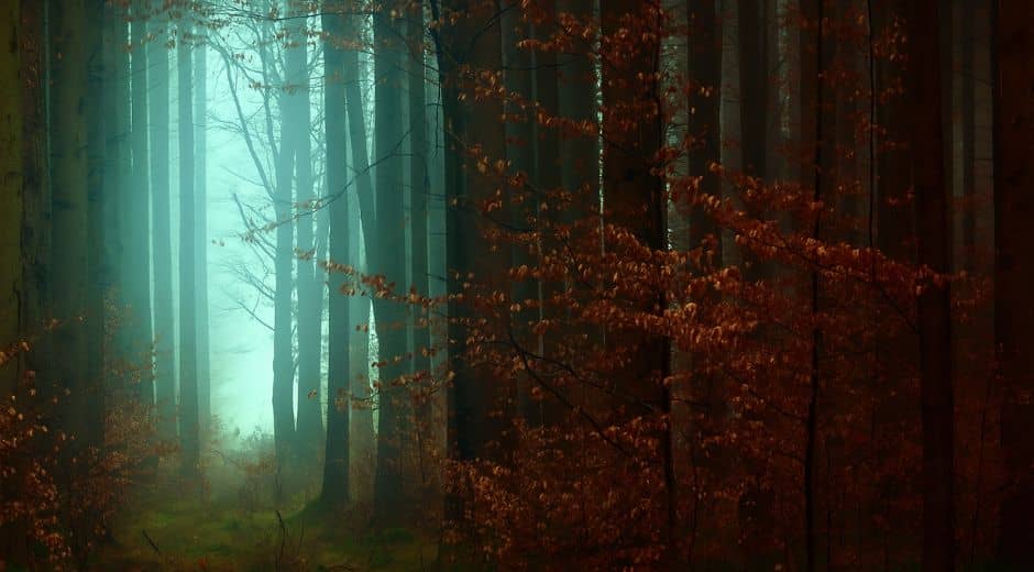 Mystical