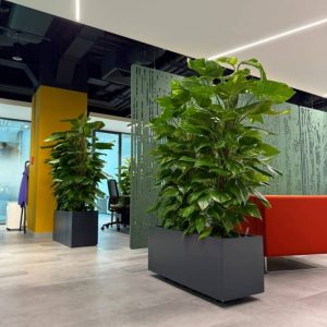 WhatsApp-Image-2025-06-13-at-22.51.04-768x1024