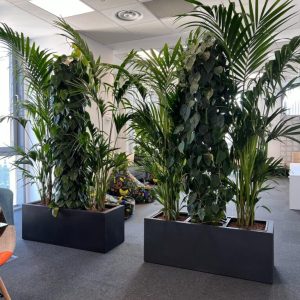 b04cd270-7361-4efd-bbad-f47bc9e153f9-768x1024