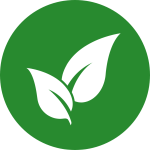 Kopie-von-Kopie-von-Kopie-von-Kopie-von-Kopie-von-F-W-H-5