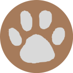 cropped-Kopie-von-Kopie-von-Kopie-von-Kopie-von-Kopie-von-Kopie-von-Kopie-von-Kopie-von-F-W-H-5-1