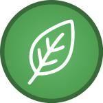 cropped-Kopie-von-Kopie-von-Kopie-von-Kopie-von-Kopie-von-Kopie-von-Kopie-von-Kopie-von-F-W-H-8-1